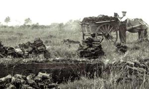 Peat Digging – English Nature